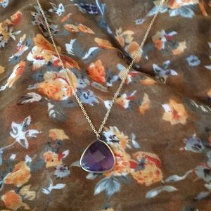 Long purple gem necklace.
